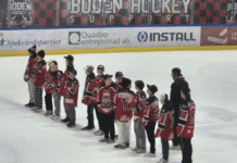 Wallincupen 2025 och en bronspeng till Boden Hockey.