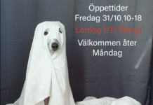 Klar för Halloween