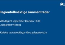 Regionfullmäktige sammanträder