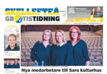 Skellefteå Gratistidning (vecka 14, 2022)