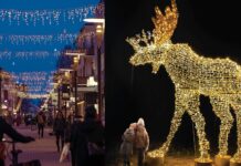 Ljusfestival förvandlar Skellefteå centrum – Kristallkrona och älg lyser upp Skellefteå