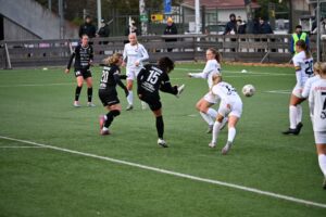 IMG_1538-300x200.jpg